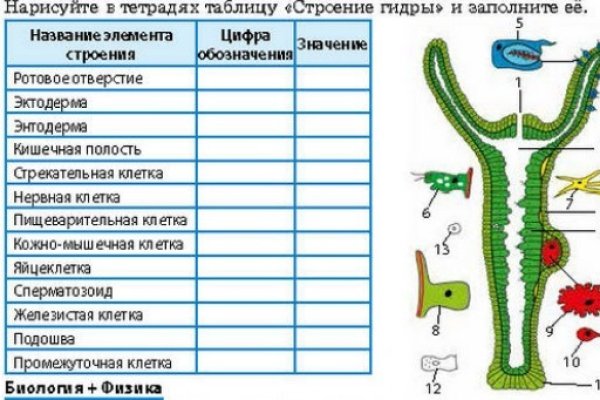 Кракен маркет даркнет только через стор