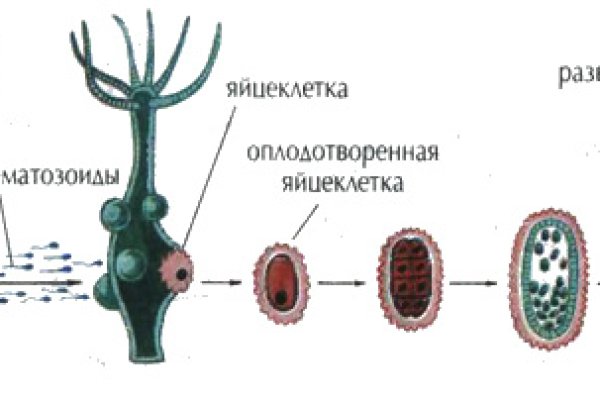 Кракен лого маркетплейс