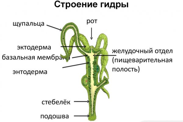 Магазин даркнета