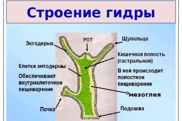 Актуальные ссылки на кракен тор