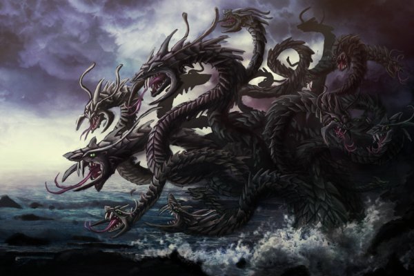 Kraken 18