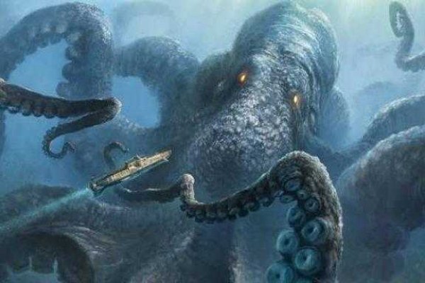 Kraken18 at