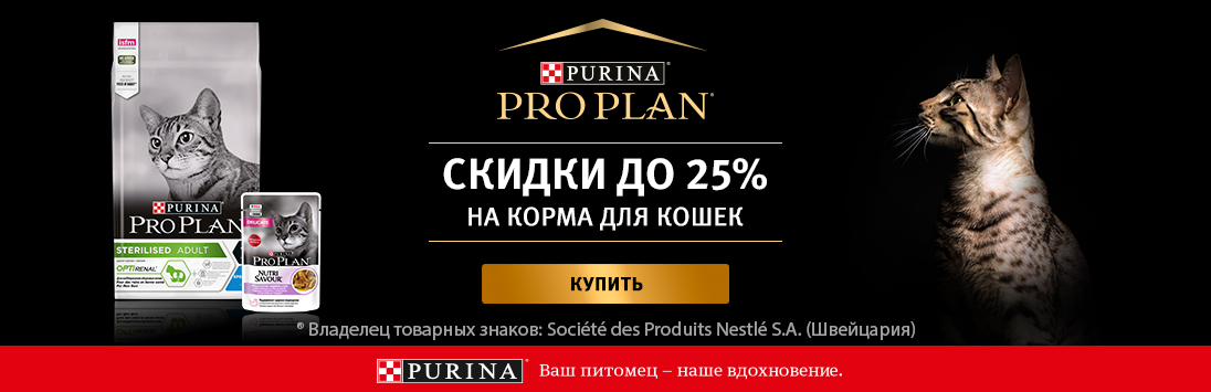 Kra29.at